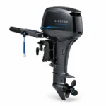 Electric Outboards category3